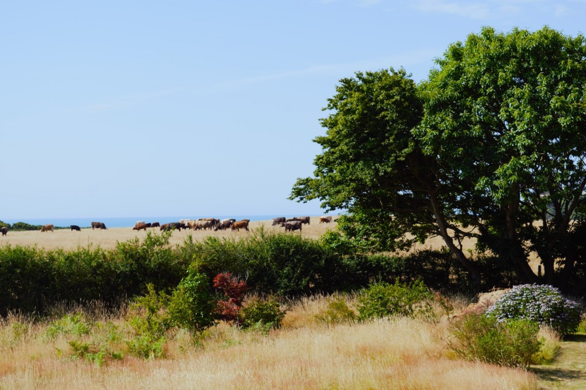 Images for Cliff End, Pett Level, East Sussex, TN35 4EE