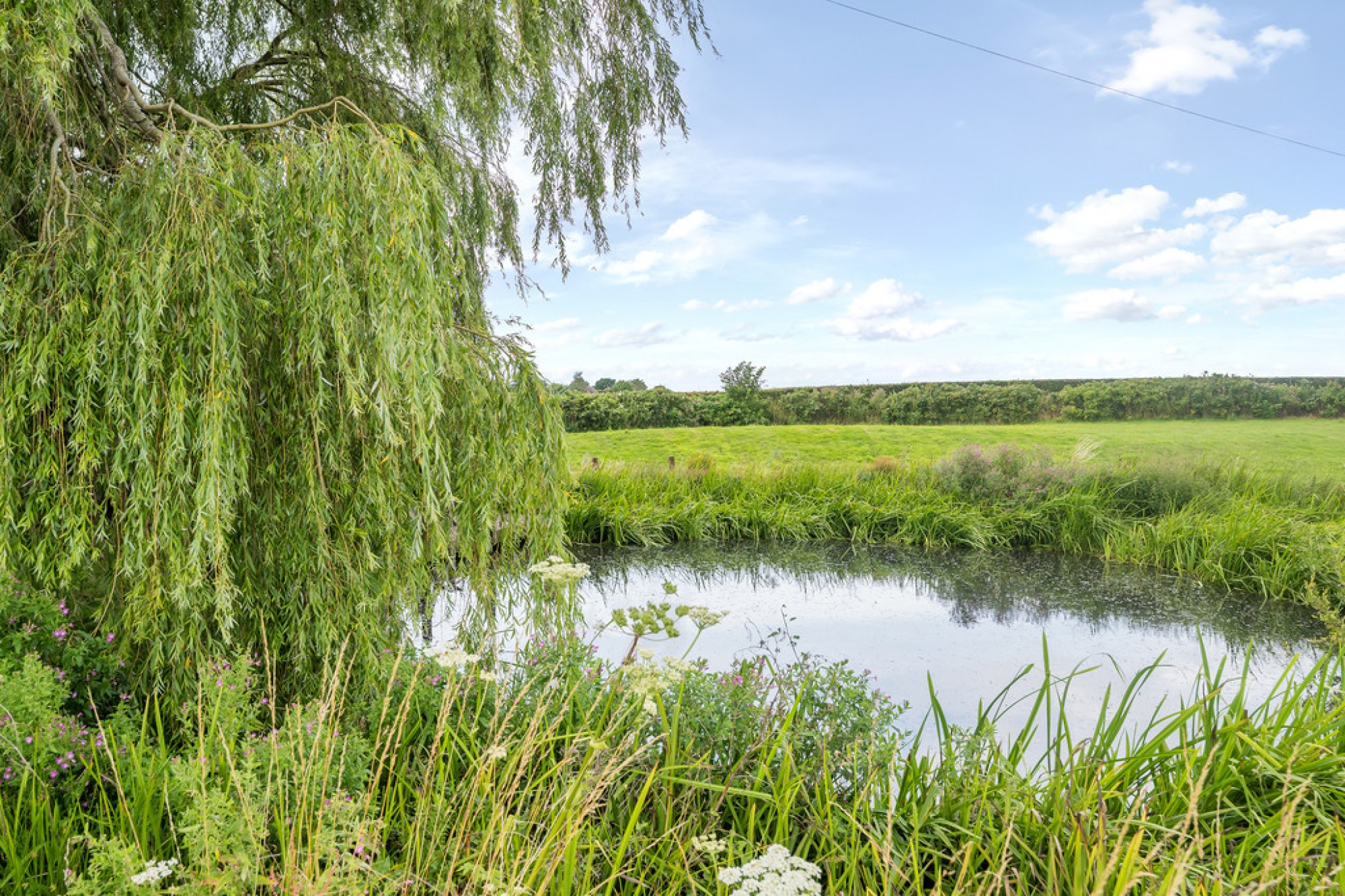 Images for School Road, Appledore, Kent, TN26 2AR