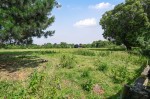 Images for The Street, Wittersham, Kent TN30 7ED