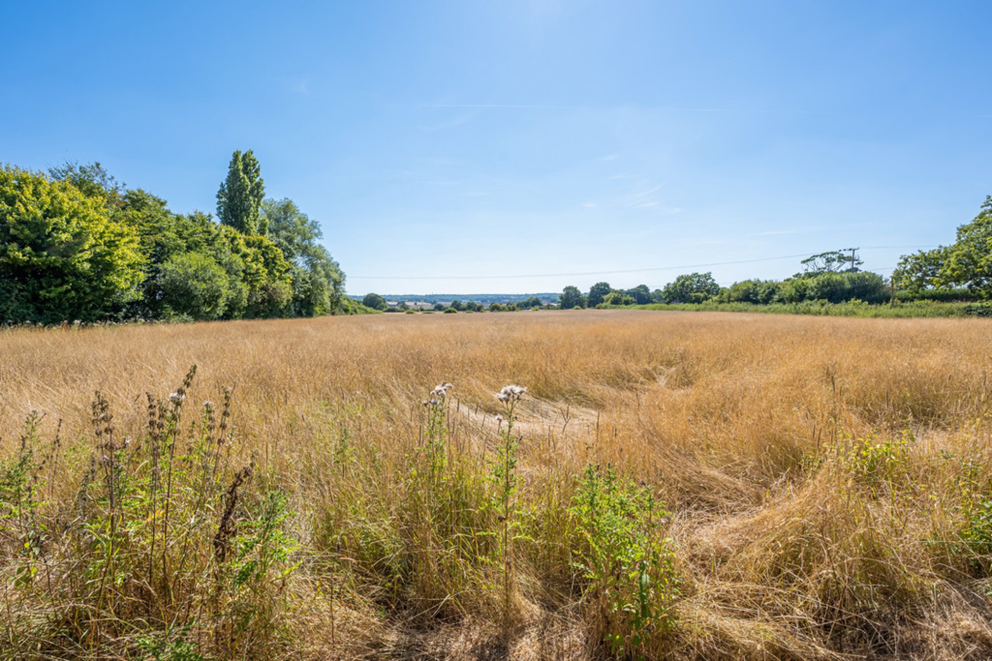 Images for Swan Street, Wittersham, Kent TN30 7PL