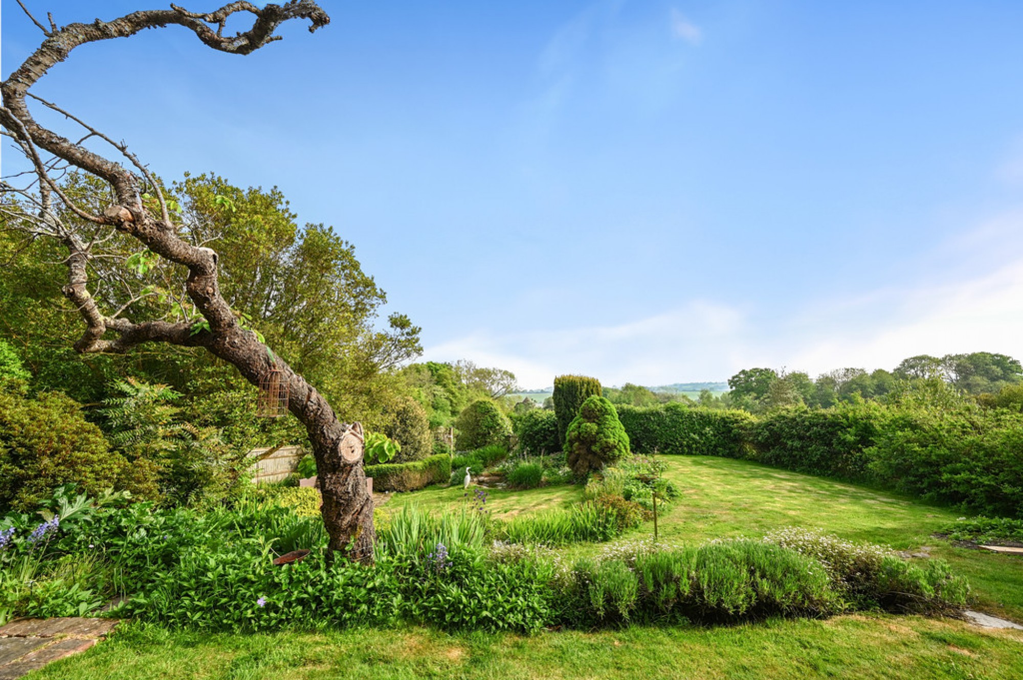 Images for Hog Hill, Winchelsea, East Sussex TN36 4AH