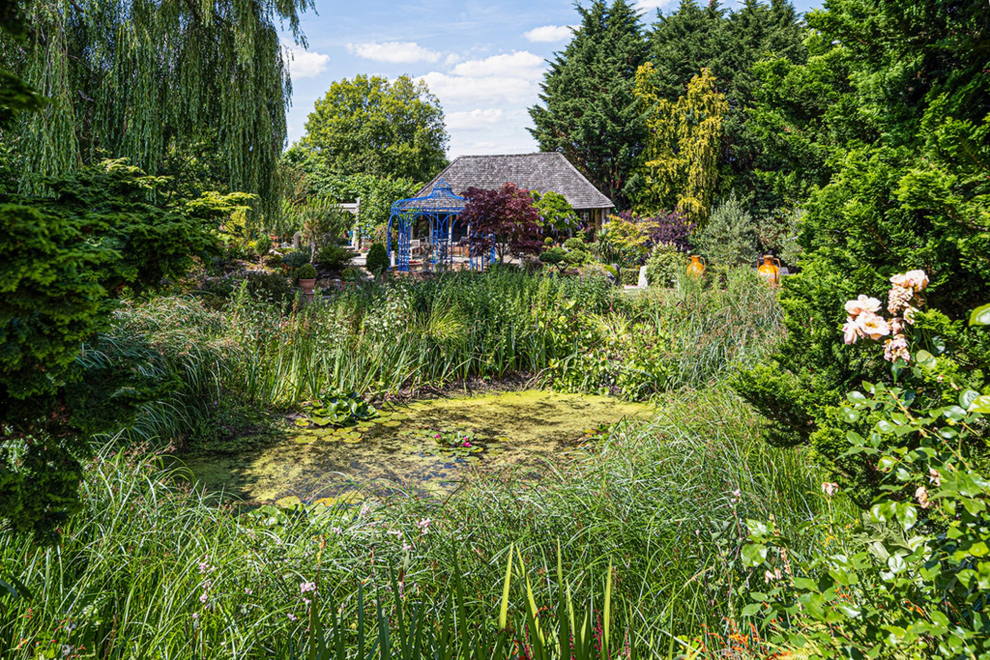 Images for Rocks Hill, Northiam, East Sussex TN31 6JF