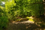 Images for Rocks Hill, Northiam, East Sussex TN31 6JF