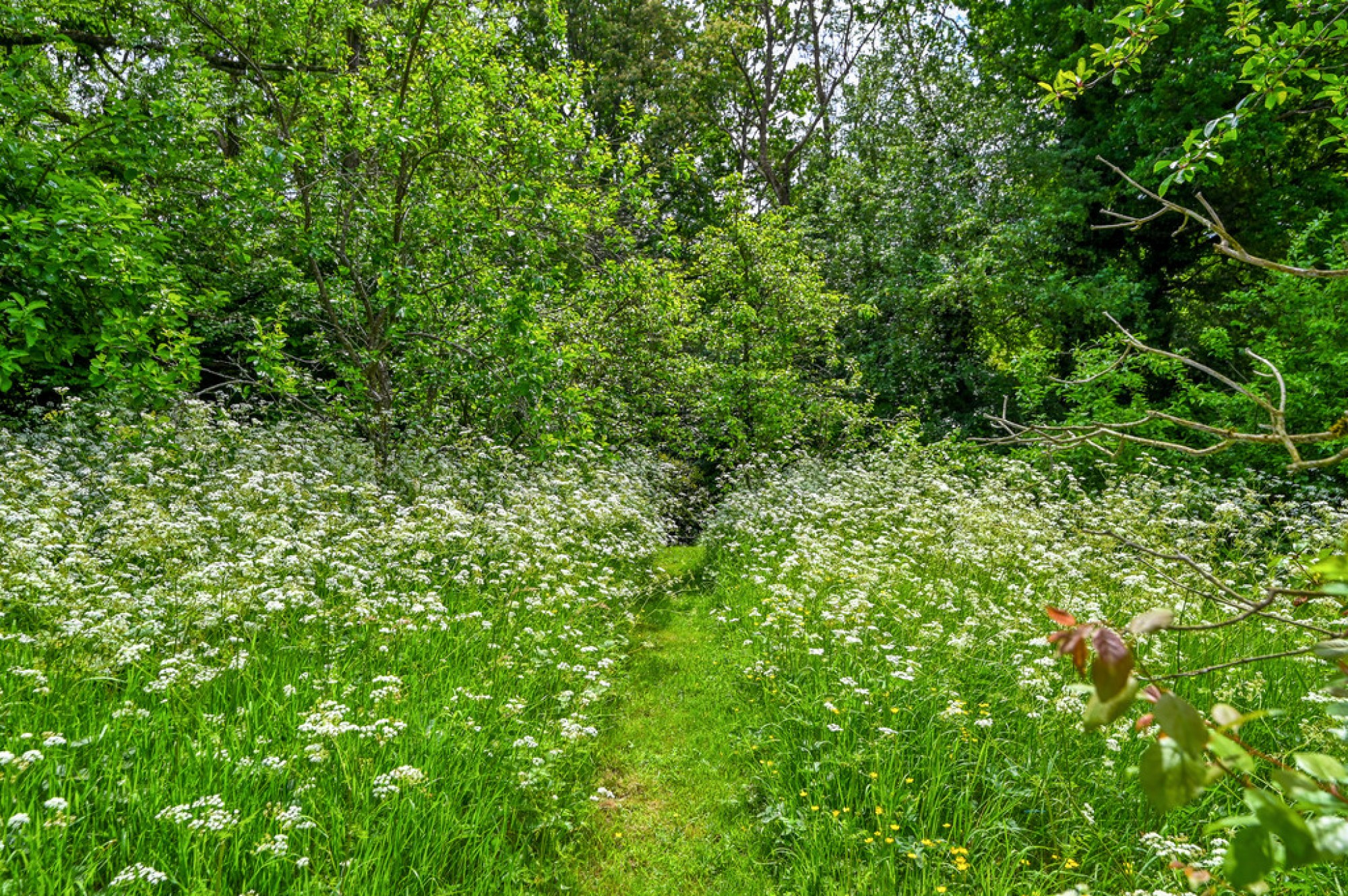 Images for Mounts Lane, Rolvenden Layne, Cranbrook, Kent TN17 4NU