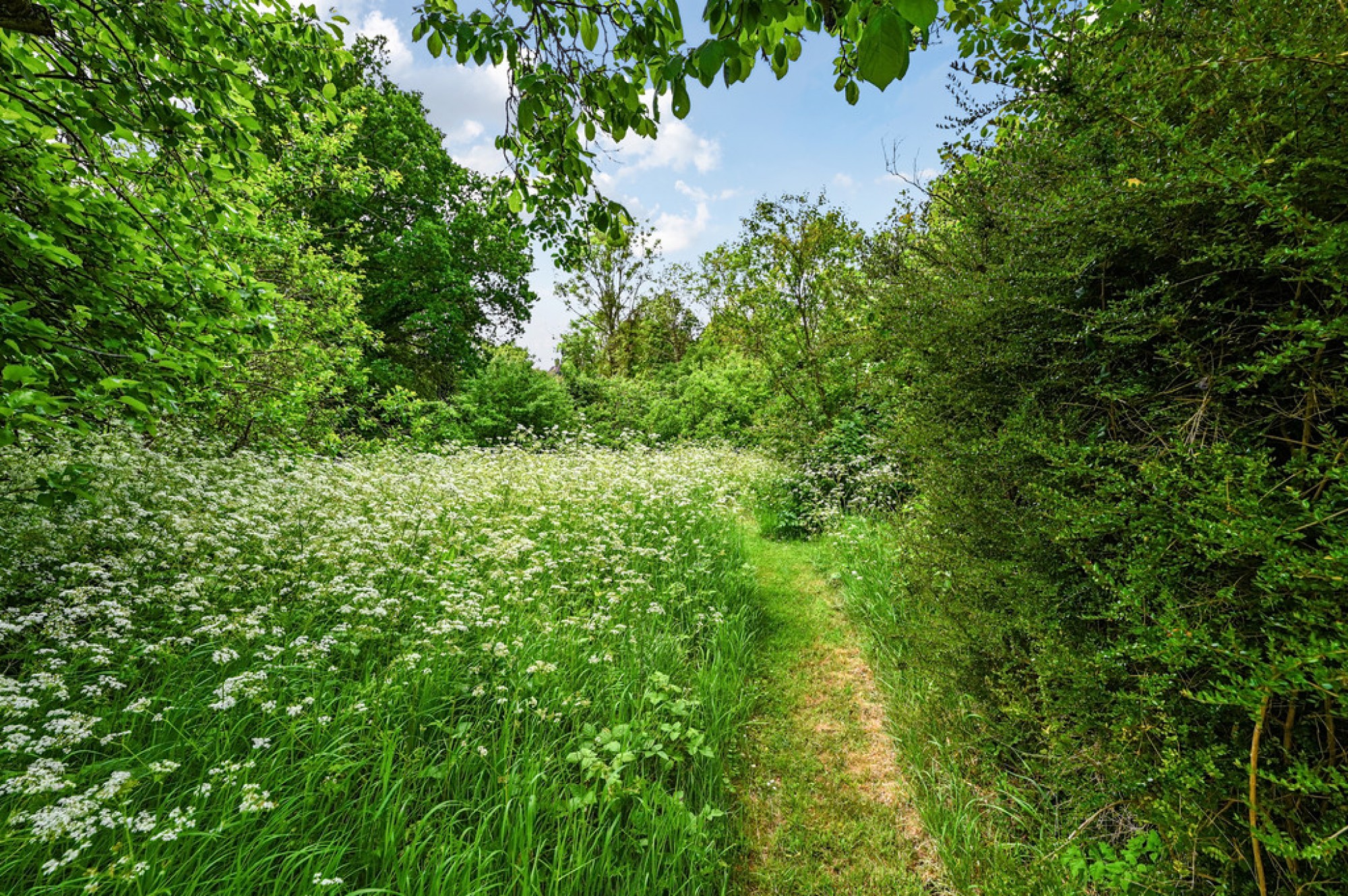 Images for Mounts Lane, Rolvenden Layne, Cranbrook, Kent TN17 4NU