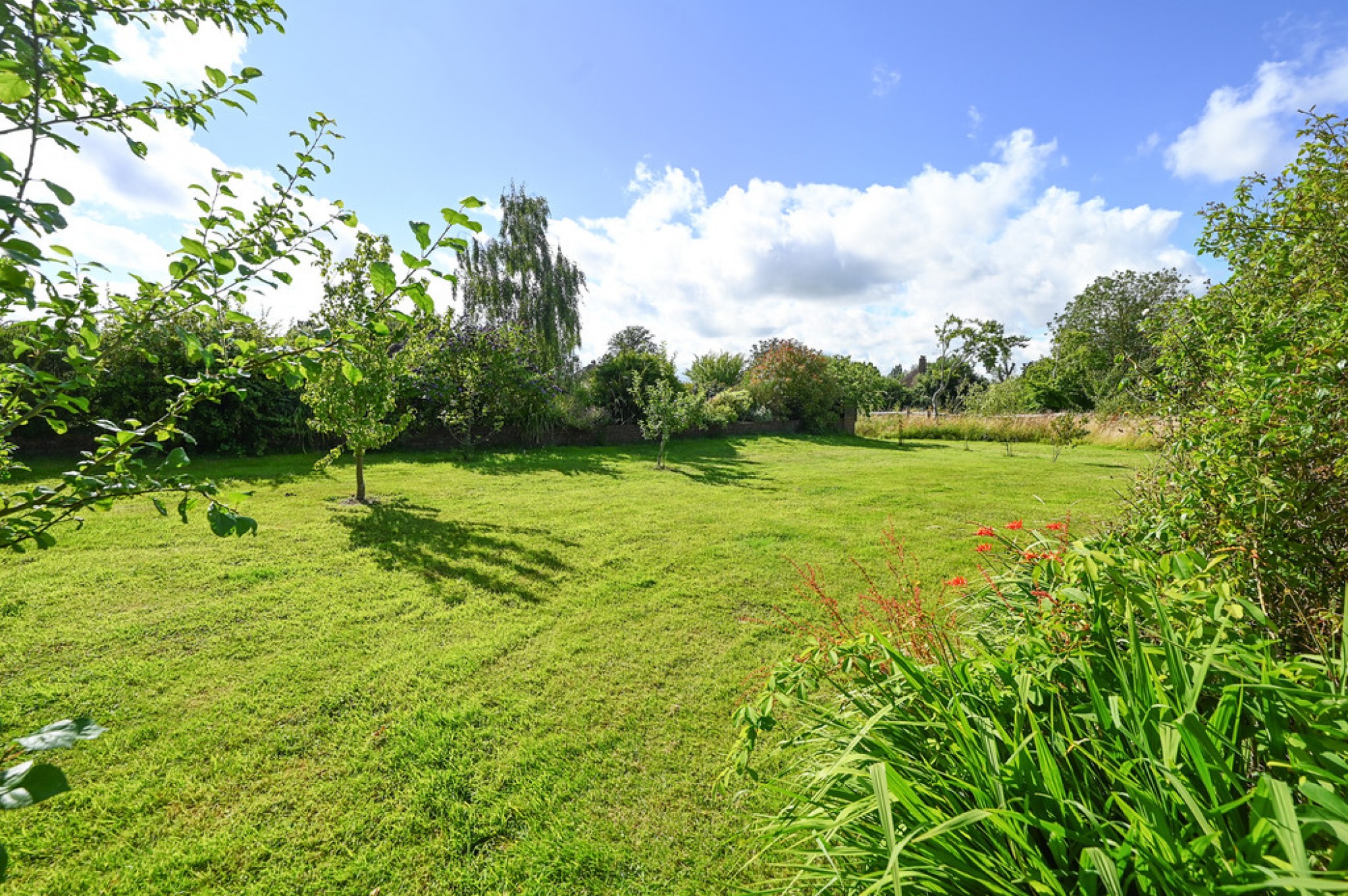 Images for Wittersham Road, Iden, East Sussex TN31 7XB