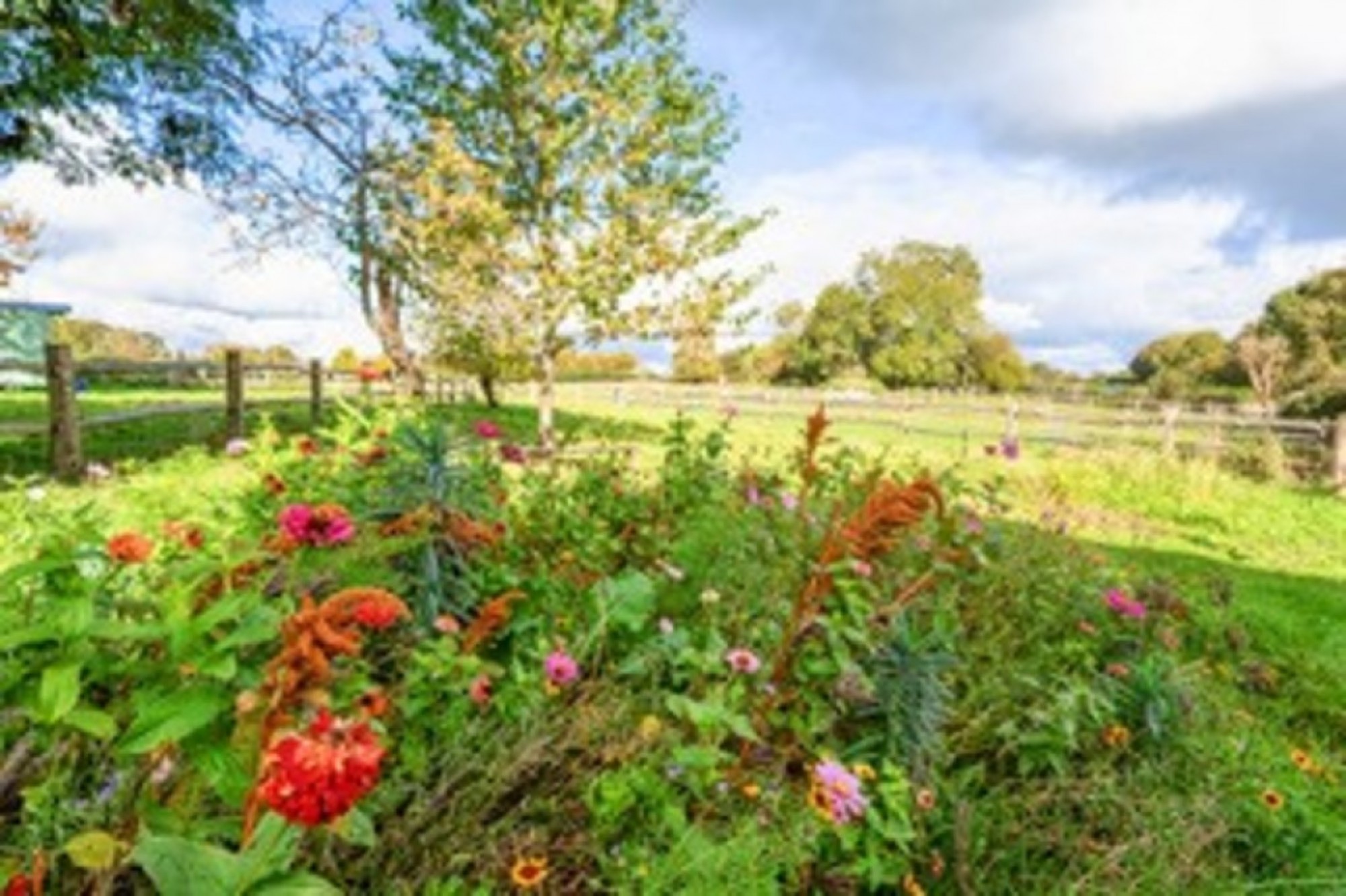 Images for Playden Lane, Iden, Near Rye, East Sussex TN31 7PS