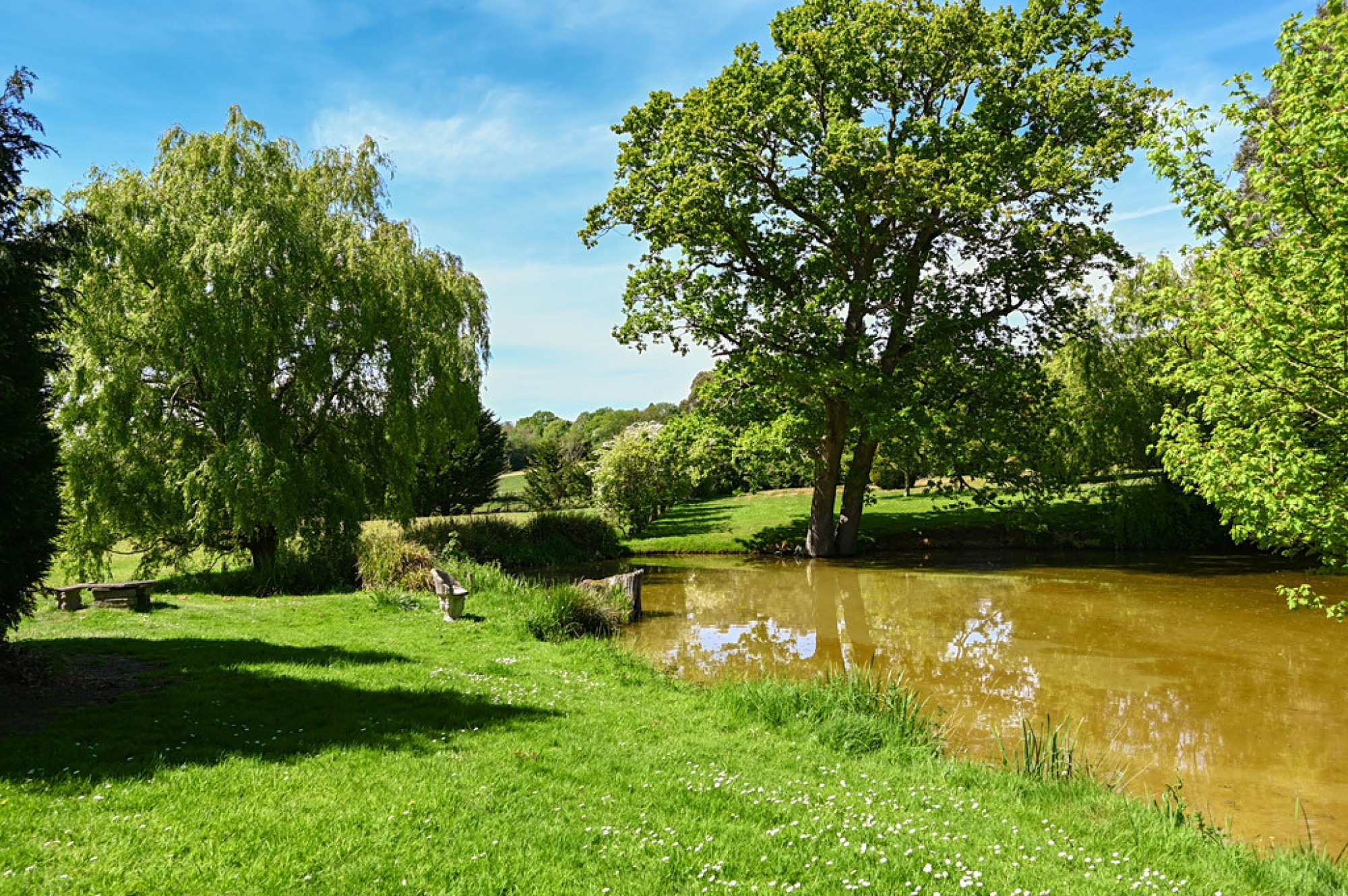 Images for Udimore Road, Broad Oak, Rye, East Sussex TN31 6BX