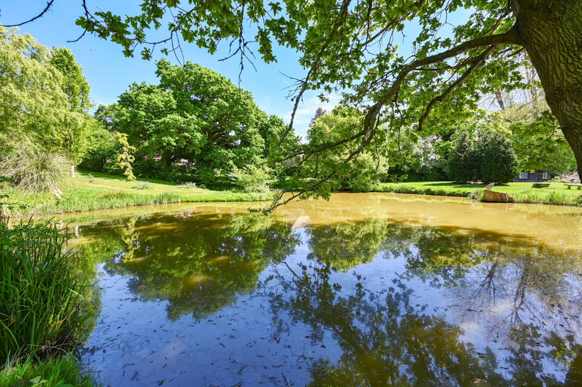 Images for Udimore Road, Broad Oak, Rye, East Sussex TN31 6BX