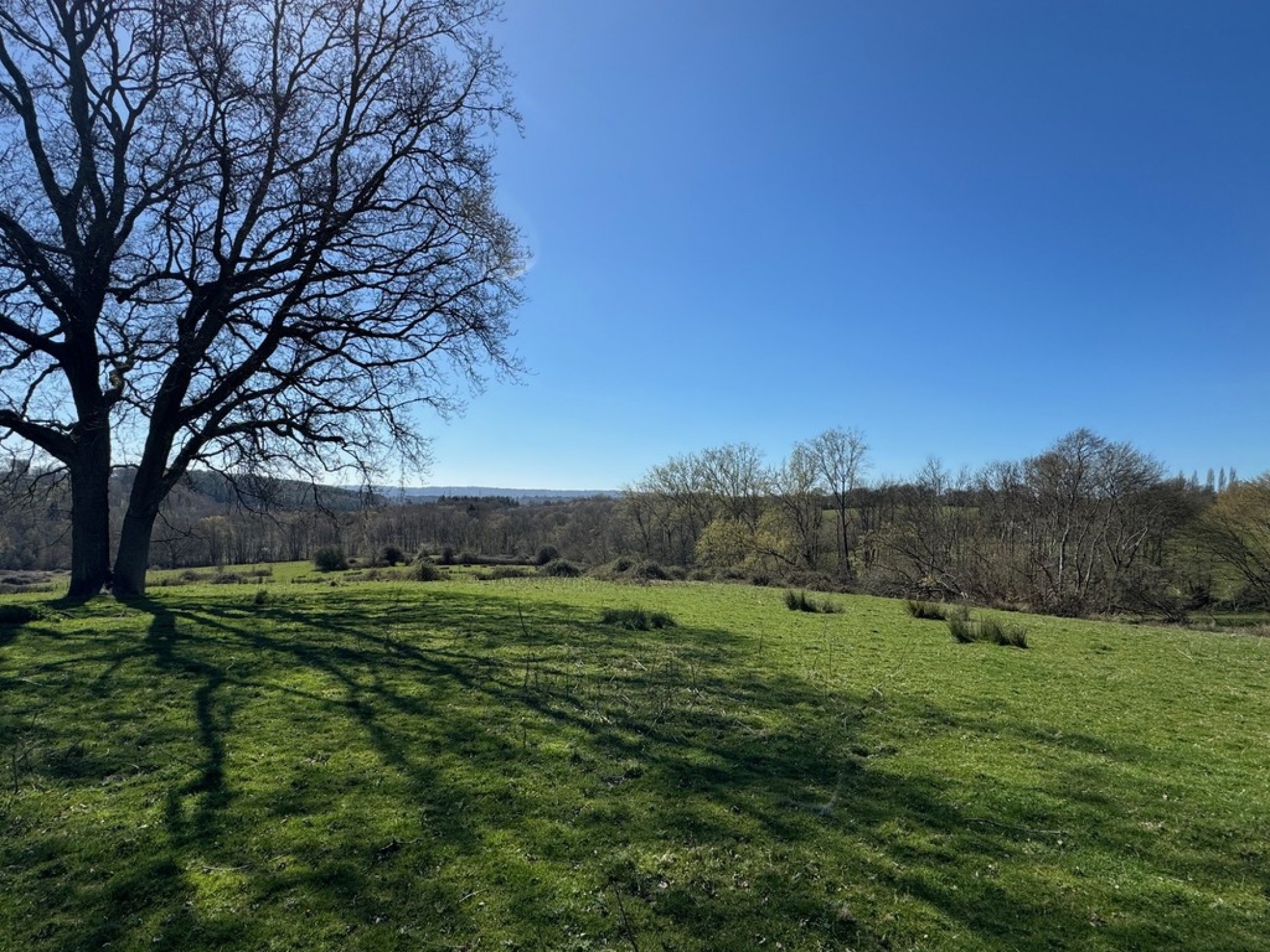 Images for Goatham Lane, Broad Oak, East Sussex TN31 6EY