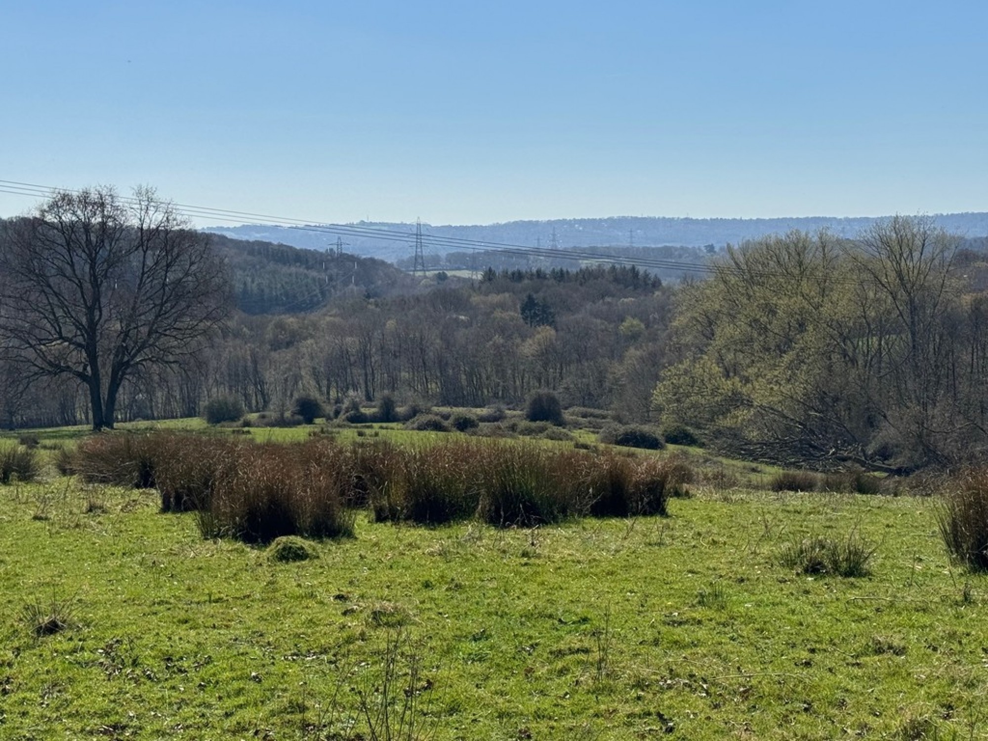 Images for Goatham Lane, Broad Oak, East Sussex TN31 6EY