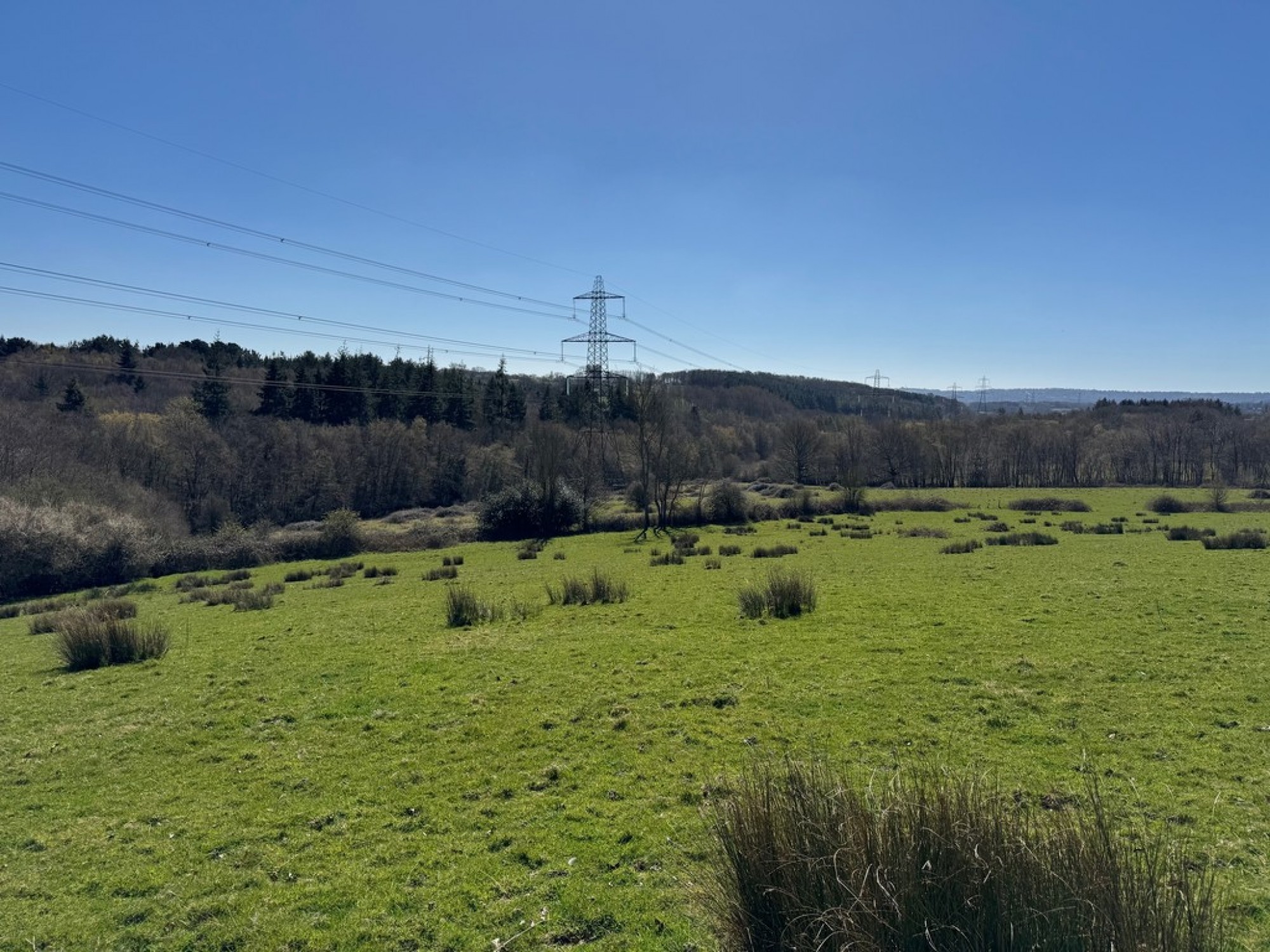 Images for Goatham Lane, Broad Oak, East Sussex TN31 6EY