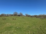Images for Goatham Lane, Broad Oak, East Sussex TN31 6EY