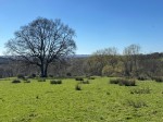 Images for Goatham Lane, Broad Oak, East Sussex TN31 6EY