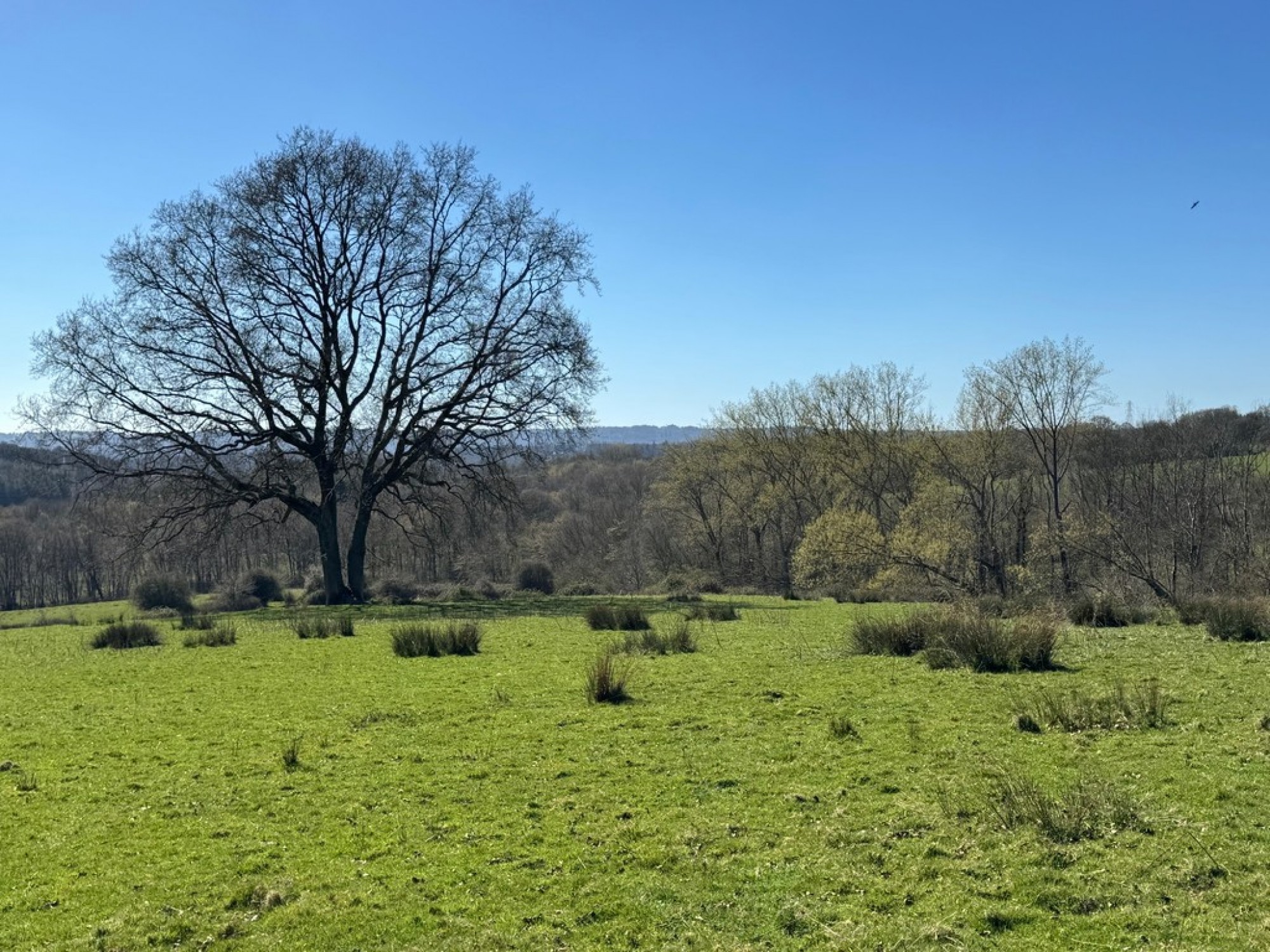 Images for Goatham Lane, Broad Oak, East Sussex TN31 6EY